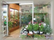 「花舎」　（神奈川県藤沢市）の花屋店舗写真1